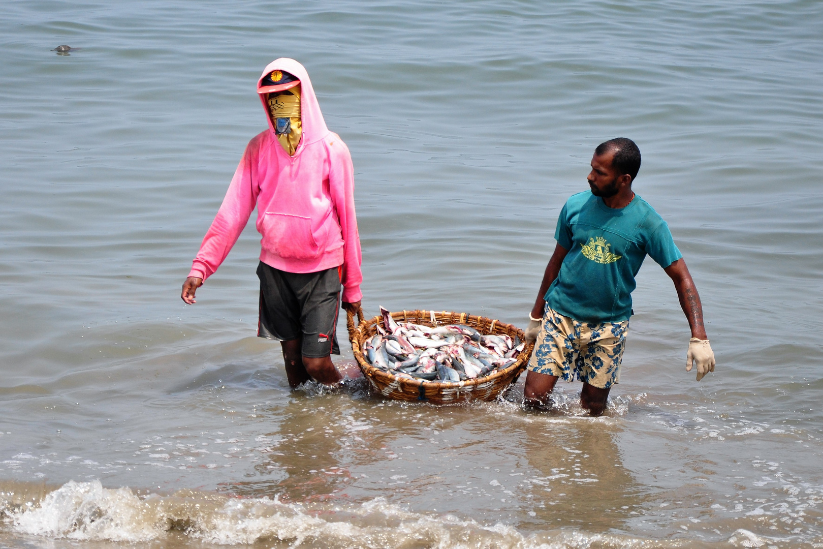 Negombo Fischmarkt