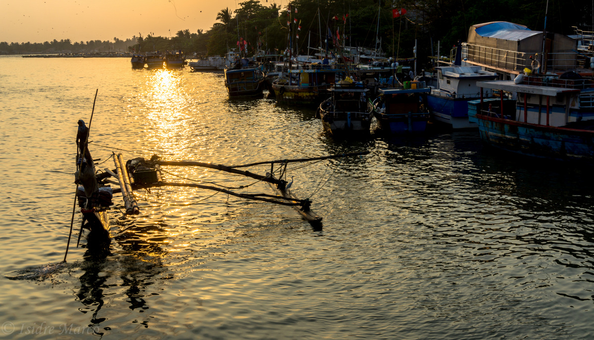 Negombo sunset