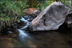 *Negro Bill Canyon*