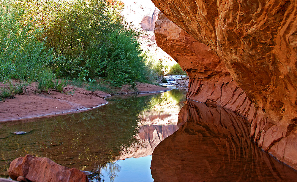 Negro Bill Canyon