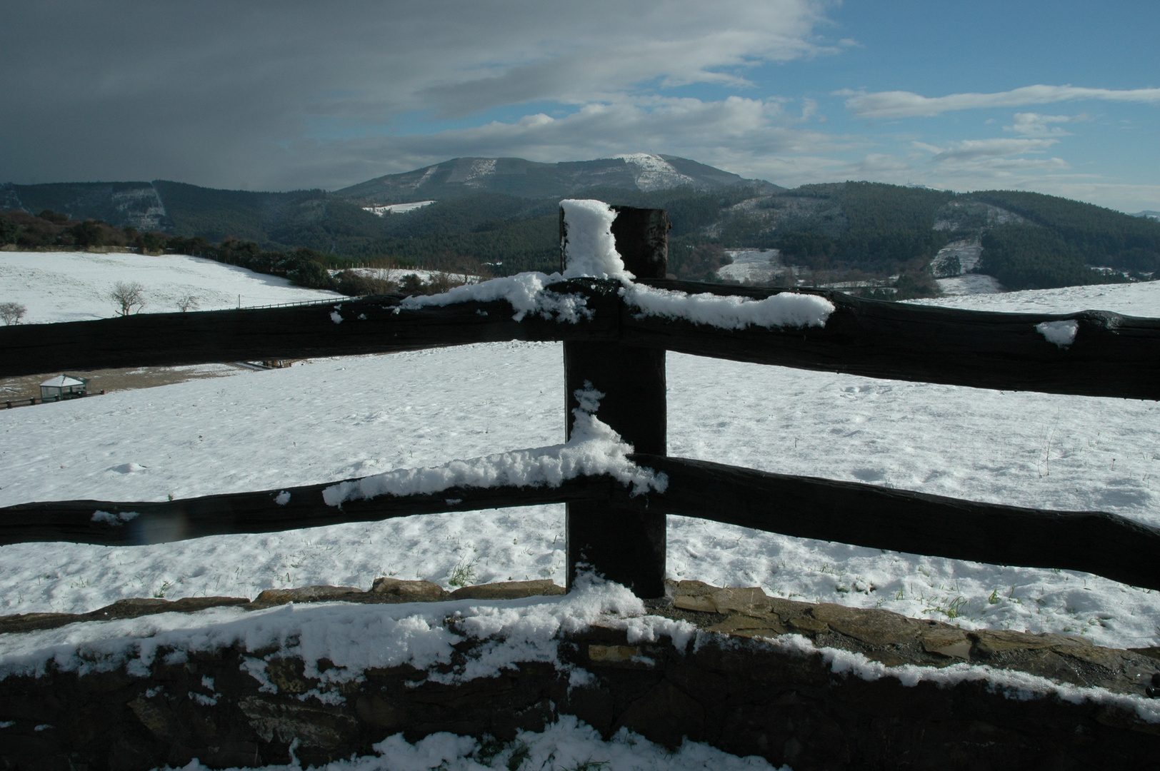 Negua-Invierno