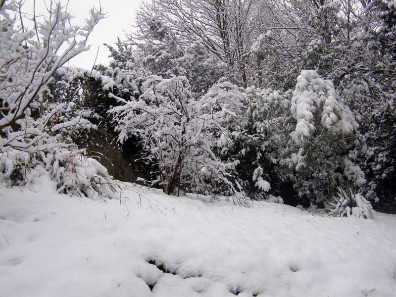 negua(invierno)