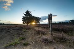 Nehlinger Heide-_008-TW1,2