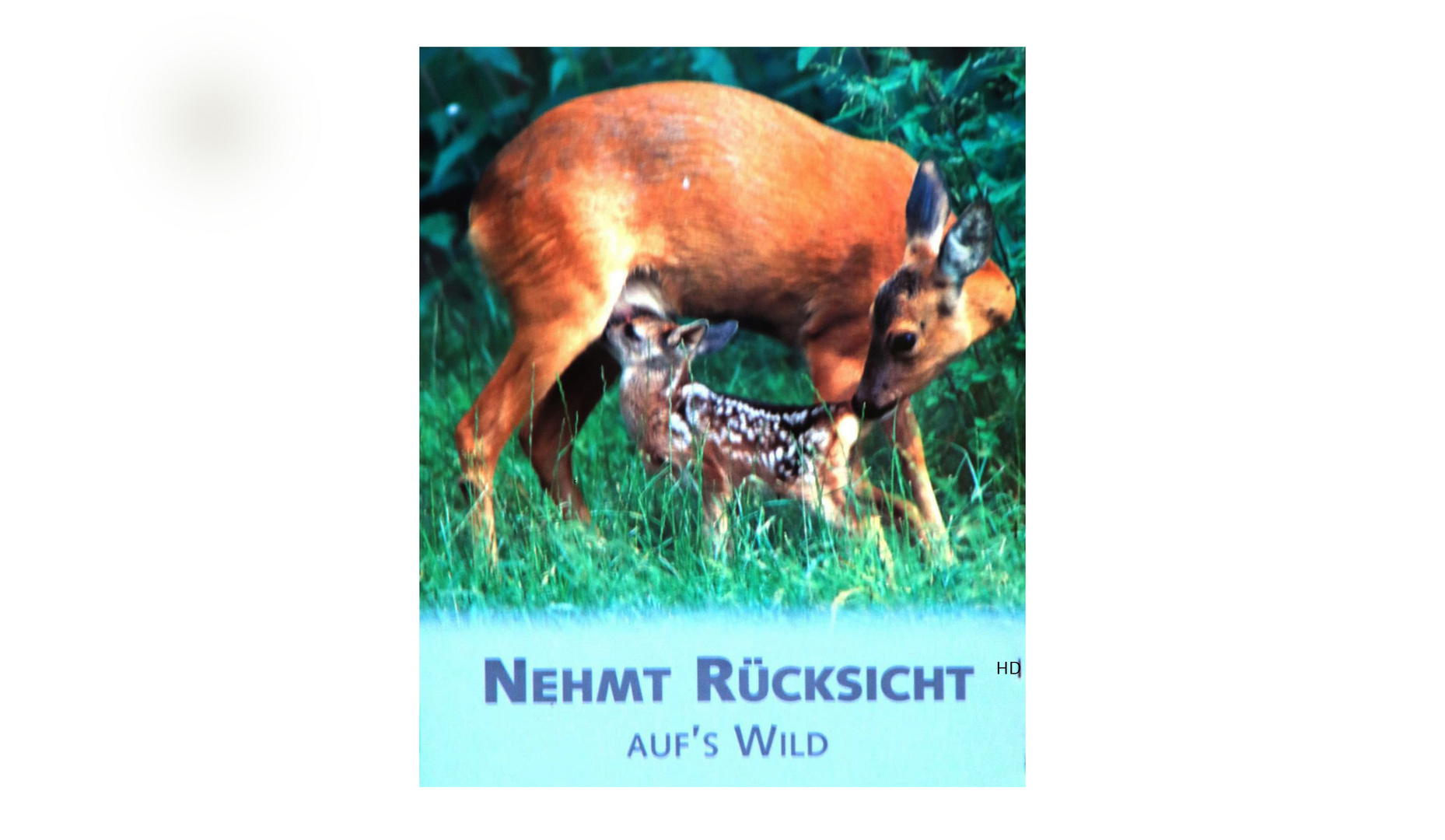 Nehmt Rücksicht auf`s Wild