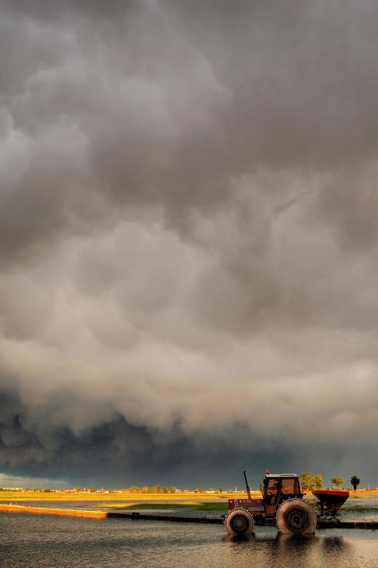 nei campi, prima del temporale