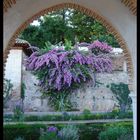 Nei giardini del palazzo del'Alhambra di Granada