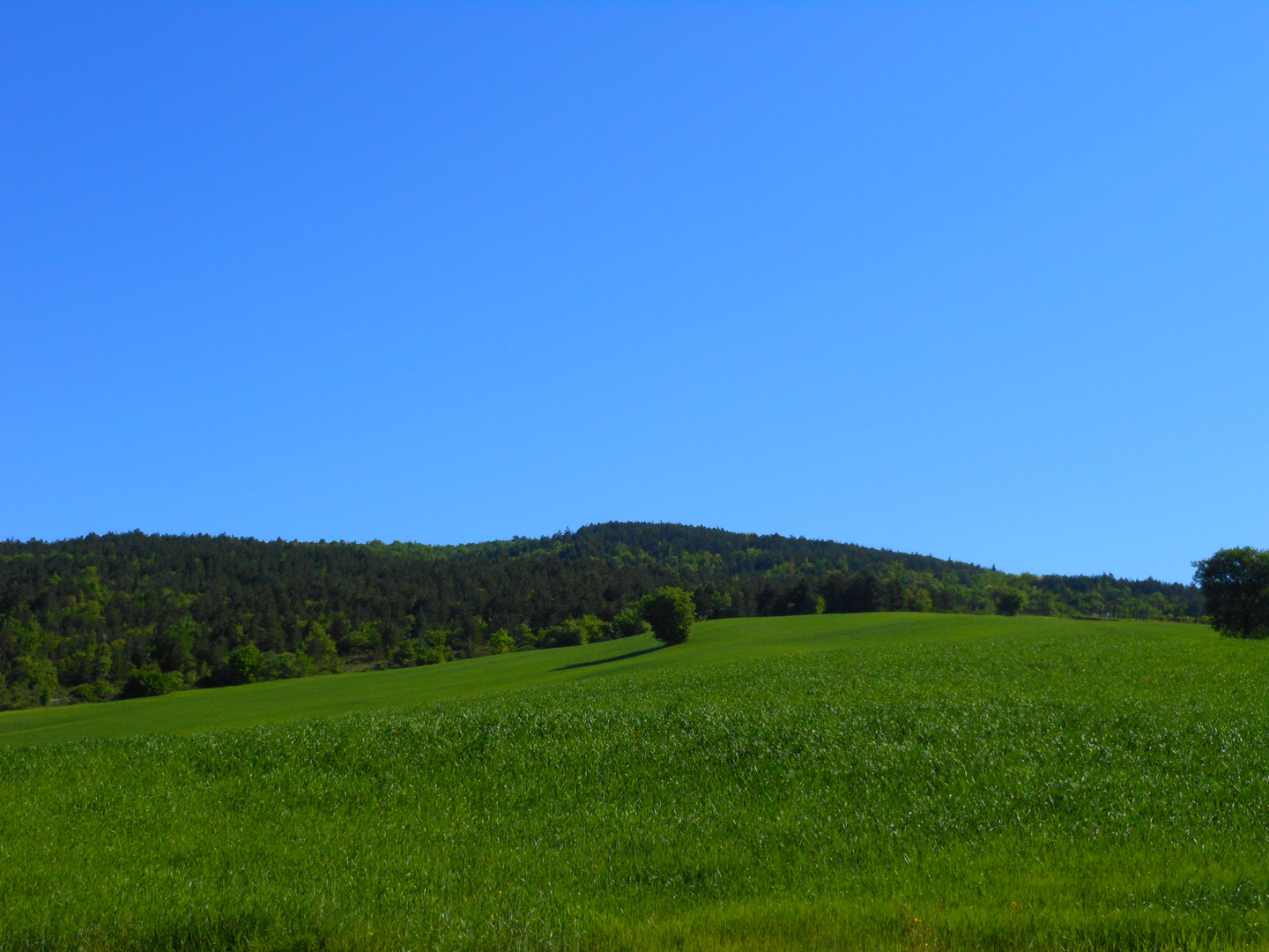 Nei pressi della Collina dei Ciliegi