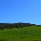 Nei pressi della Collina dei Ciliegi