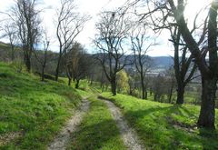 Neidlinger Tal im November