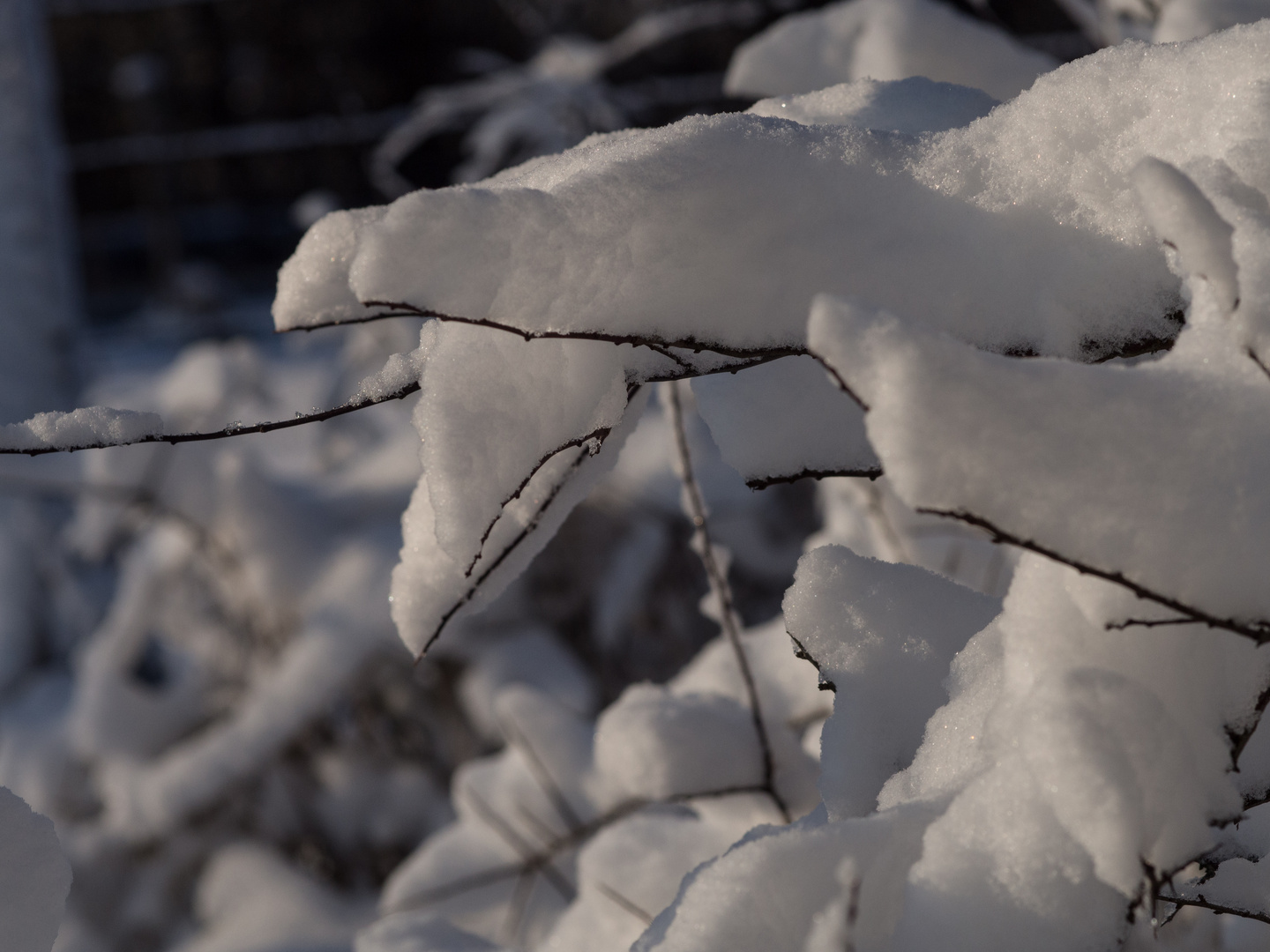 Neige 2014 en Lorraine : inattendue mais agréable sous le soleil