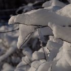 Neige 2014 en Lorraine : inattendue mais agréable sous le soleil