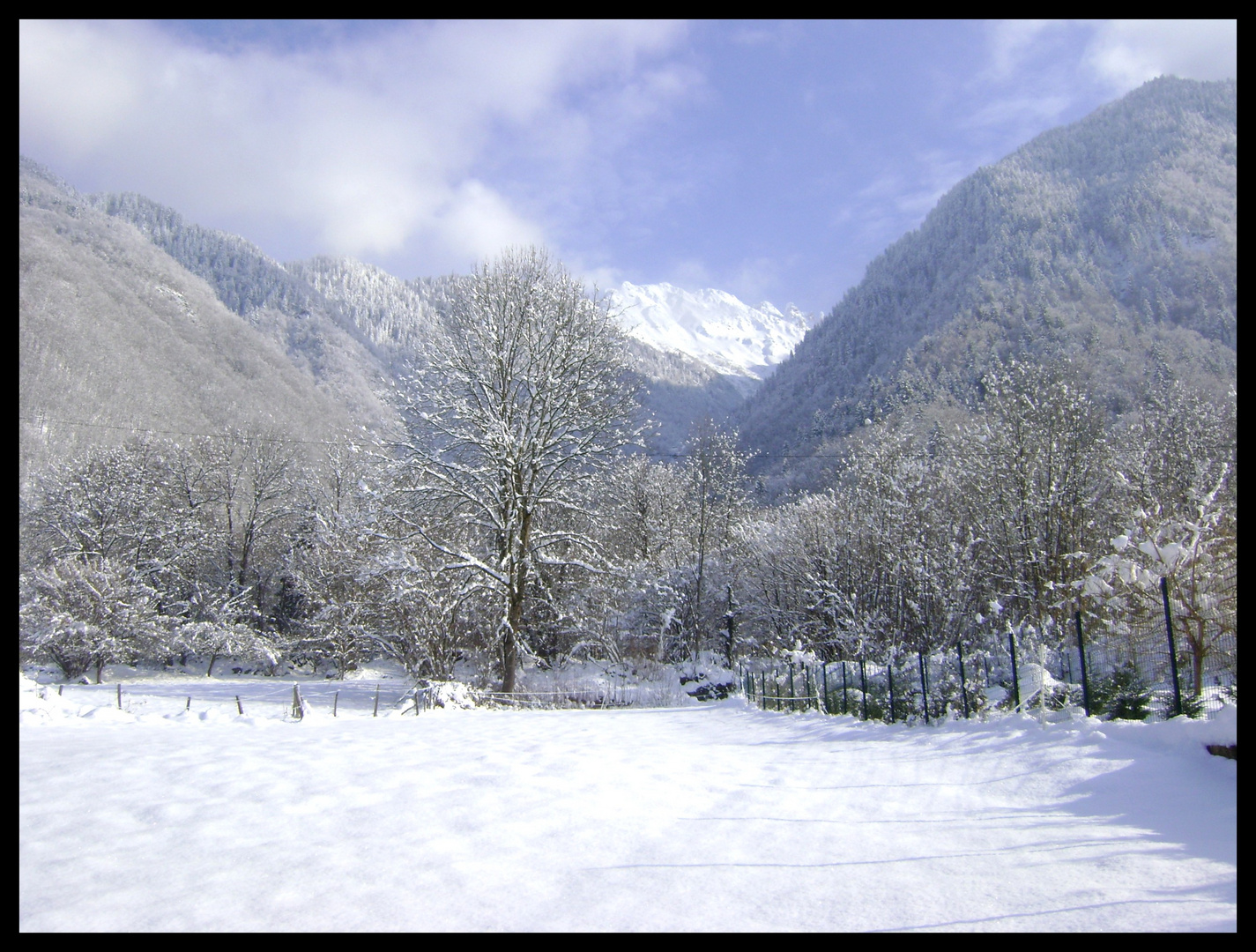 neige a argentine