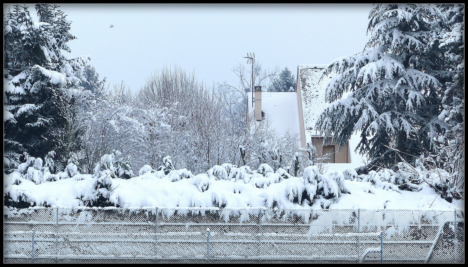 NEIGE - à - LESIGNY - 3 - 