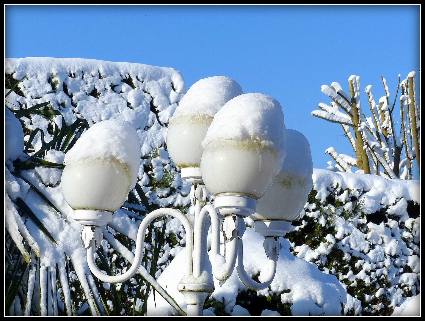 NEIGE à LESIGNY - 5 - 