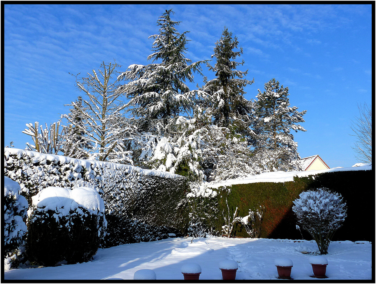 NEIGE à LESIGNY - 9 - 