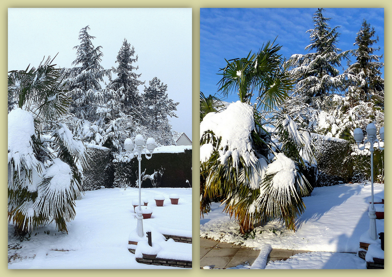 NEIGE à LESIGNY ( double clic ) 