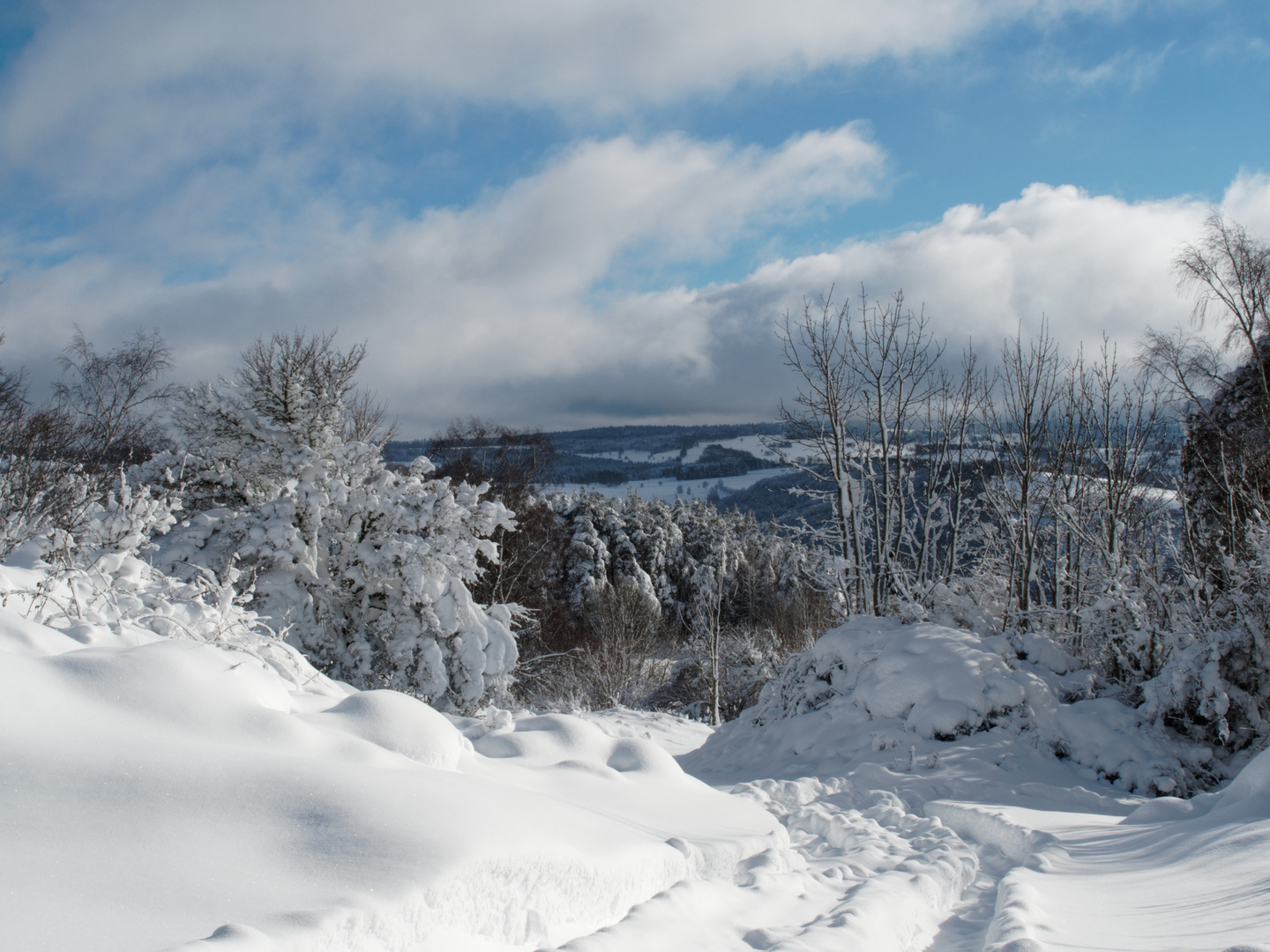 Neige - Auvergne (Cantal)