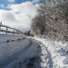 Neige - Auvergne (Cantal)