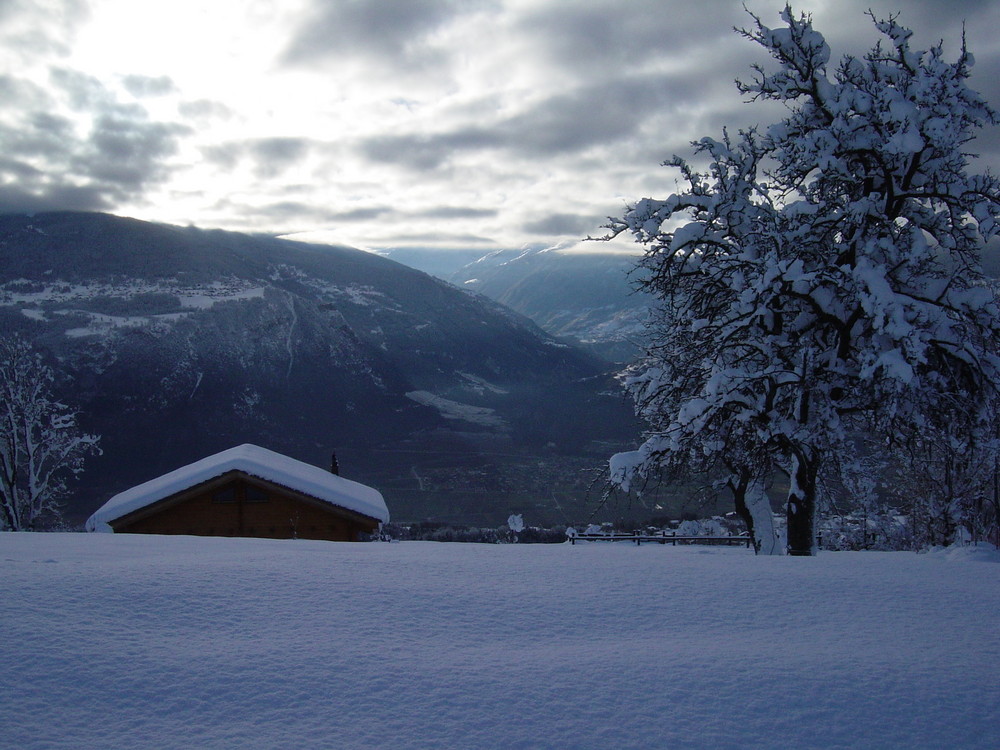 neige aux genoux...