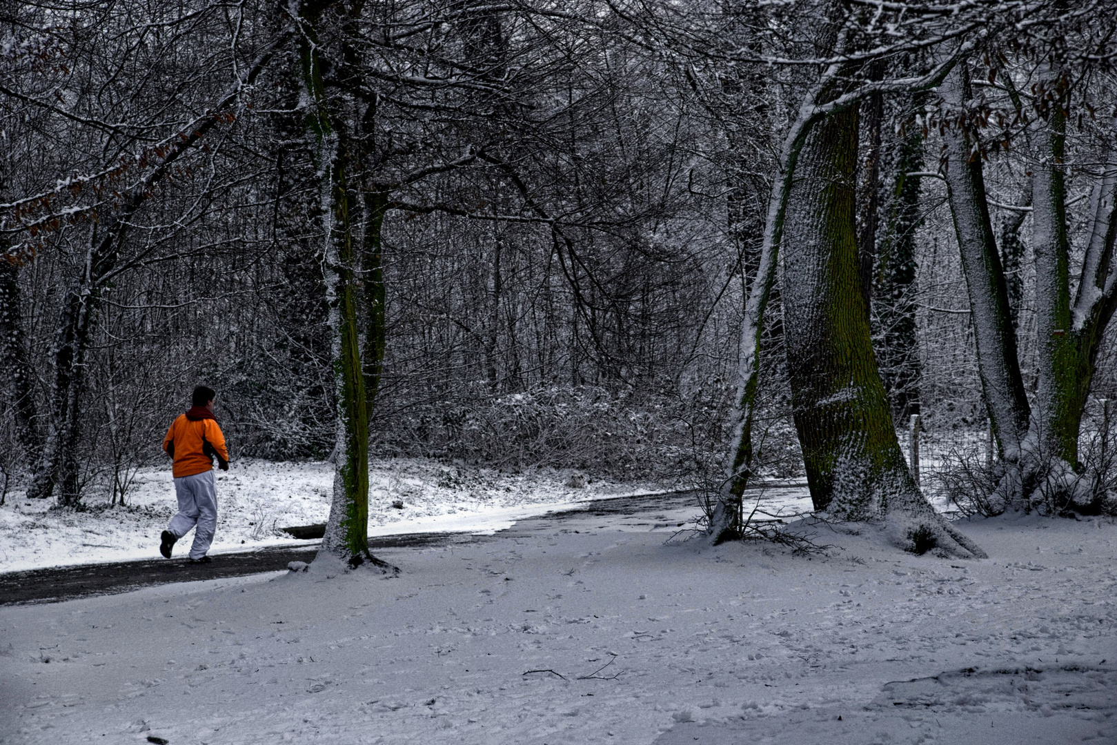 Neige - Bois de Vincennes fev 2010