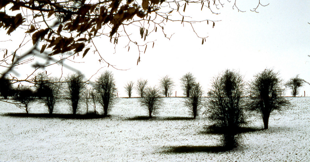 Neige dans la campagne normande