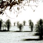 Neige dans la campagne normande