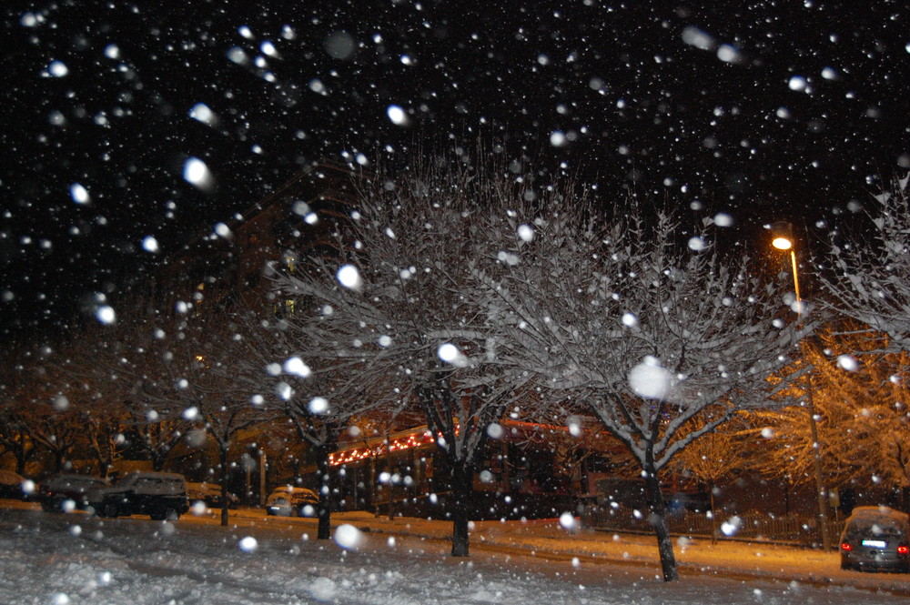 neige dans la nuit photo et image paysages nature images
