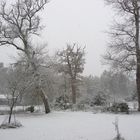 neige dans les Landes