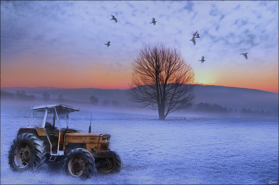 Neige d'été