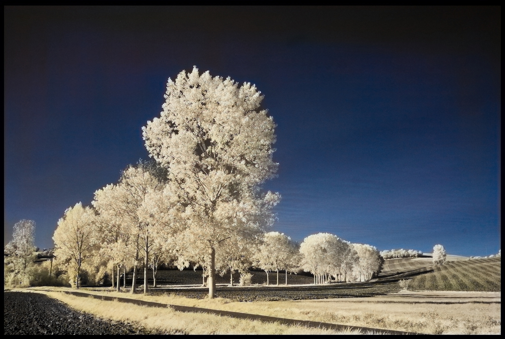 Neige d'été