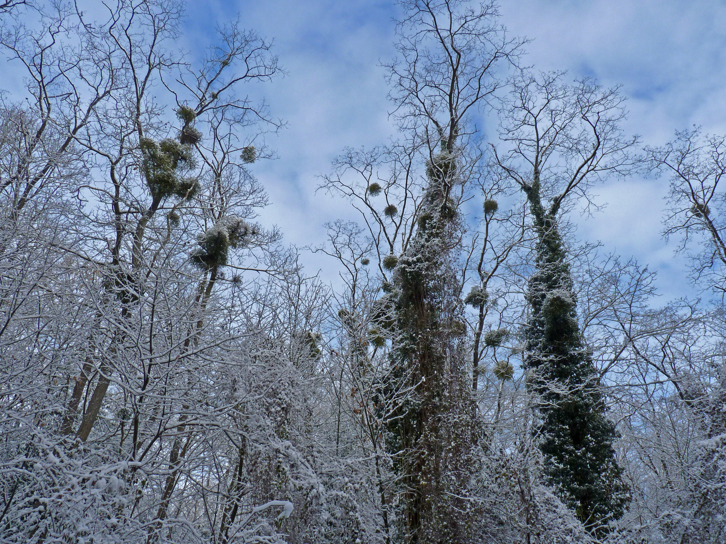 neige en Essonne ©