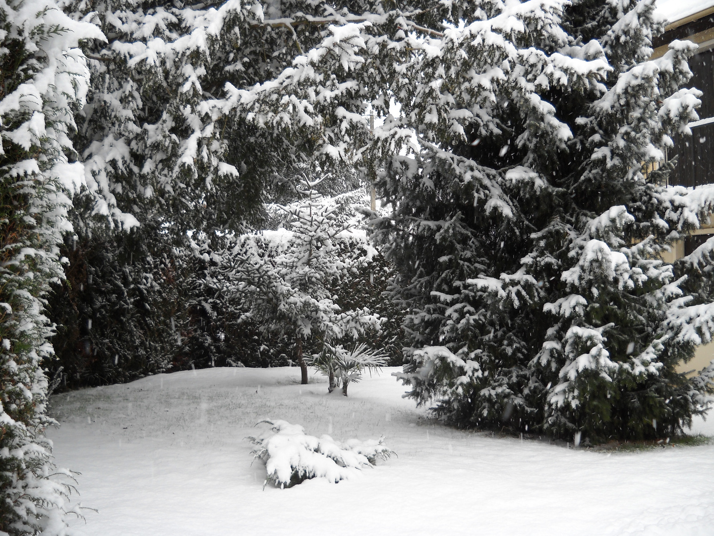 Neige en Ile de France