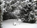 FR: Neige en Ile de France von naturésoleil 