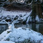 Neige en Lorraine