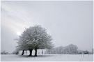 Neige en normandie de djudju14 