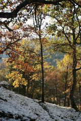 Neige en Provence