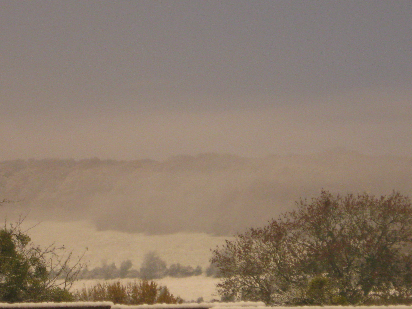 ...Neige et brume Normande...