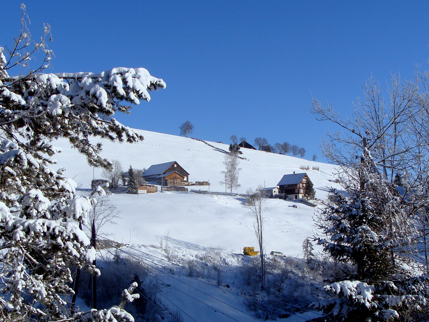 Neige et ciel bleu.001