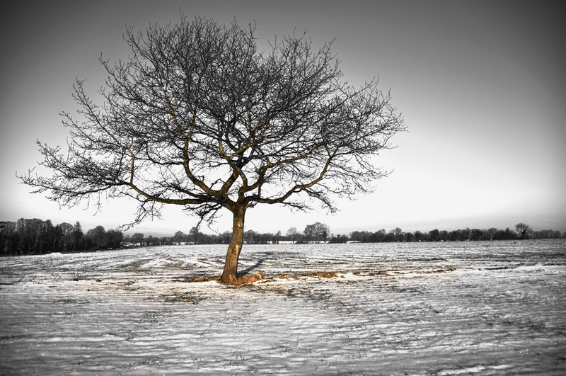 neige et désaturation