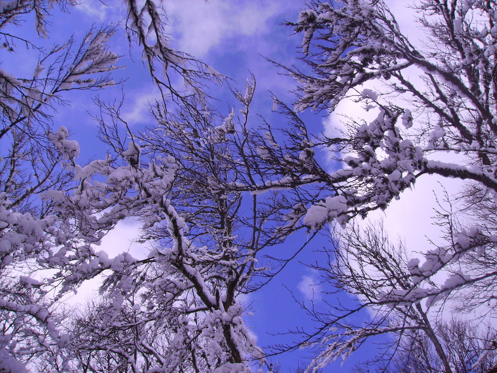 neige et soleil