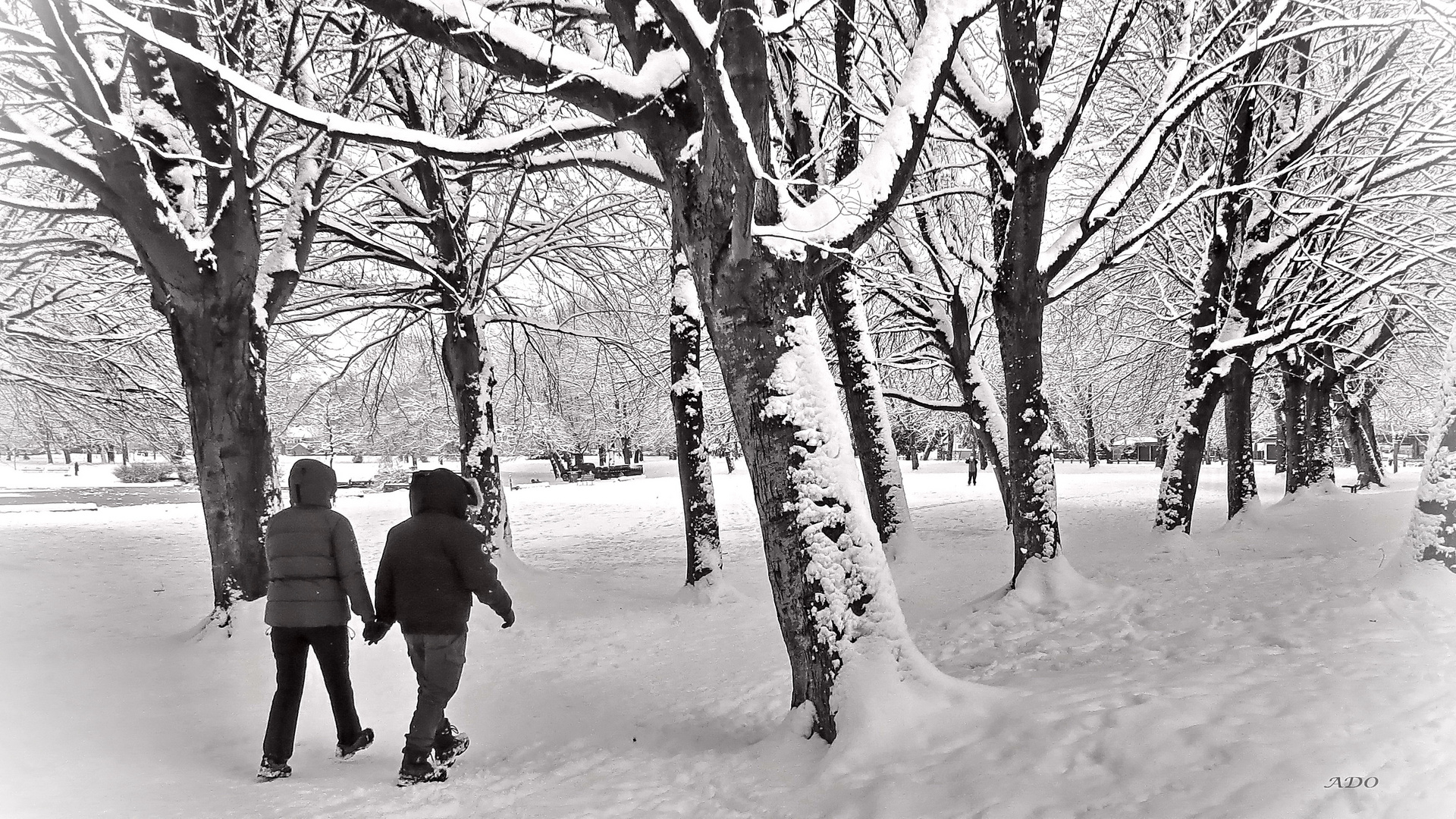 neige froide, cœurs chauds