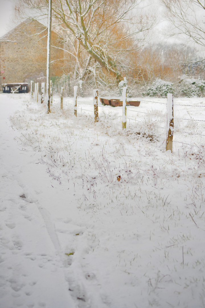 Neige Parisienne 1