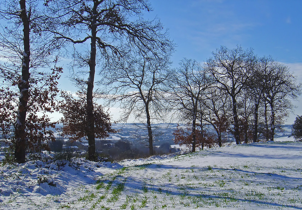 Neige près de Caussens -- Gers 1/2007 -- Schnee nahe Caussens