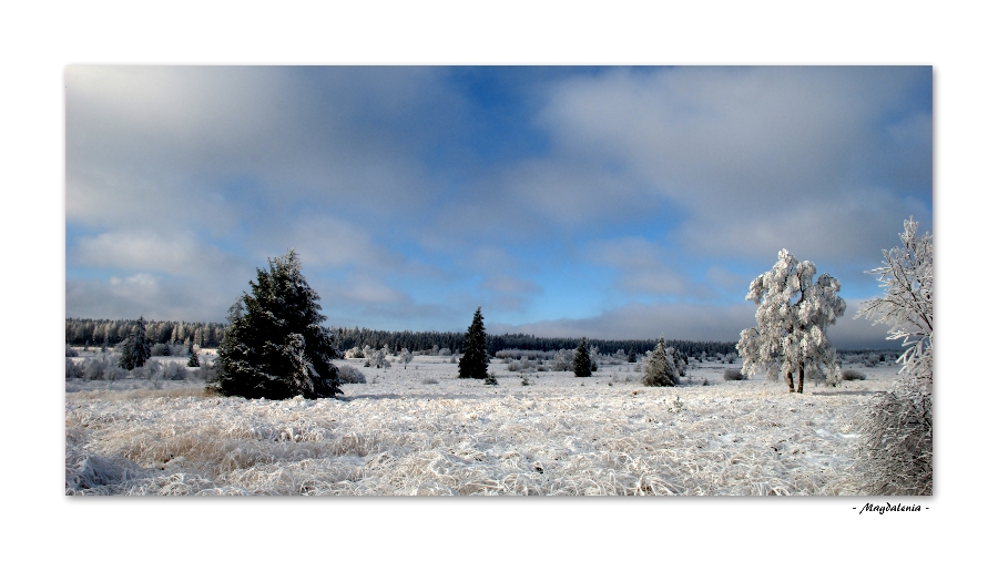 Neige printanière