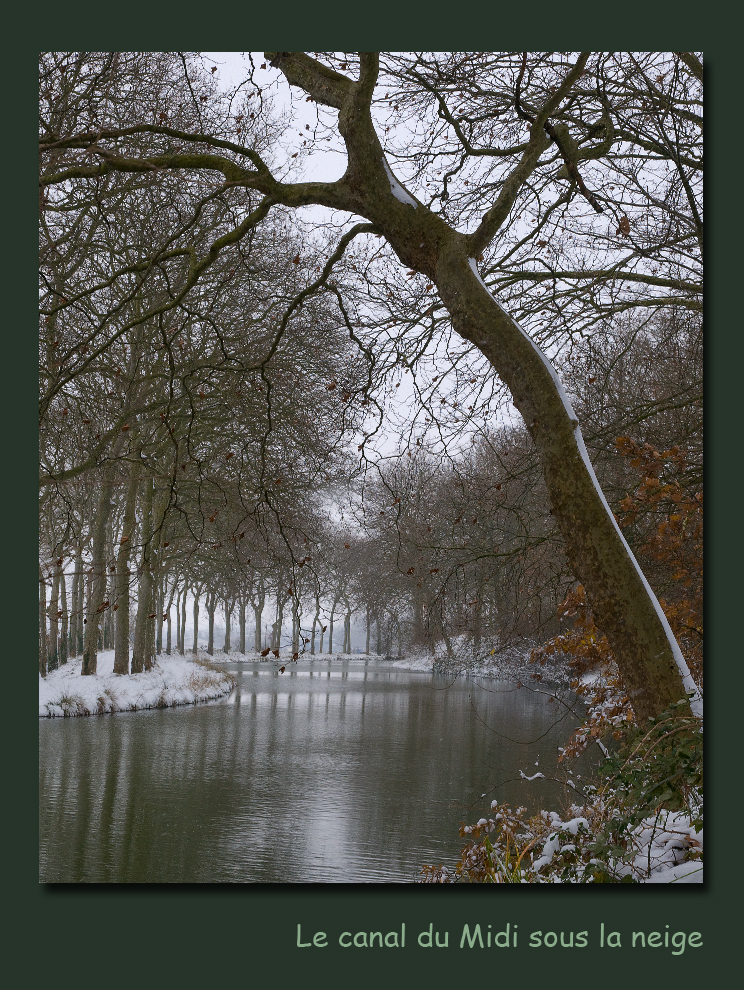 Neige sur le canal du midi