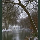 Neige sur le canal du midi