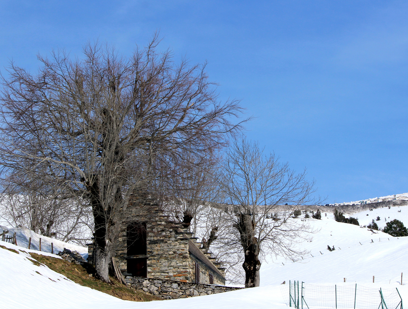 Neige sur le Fil..........