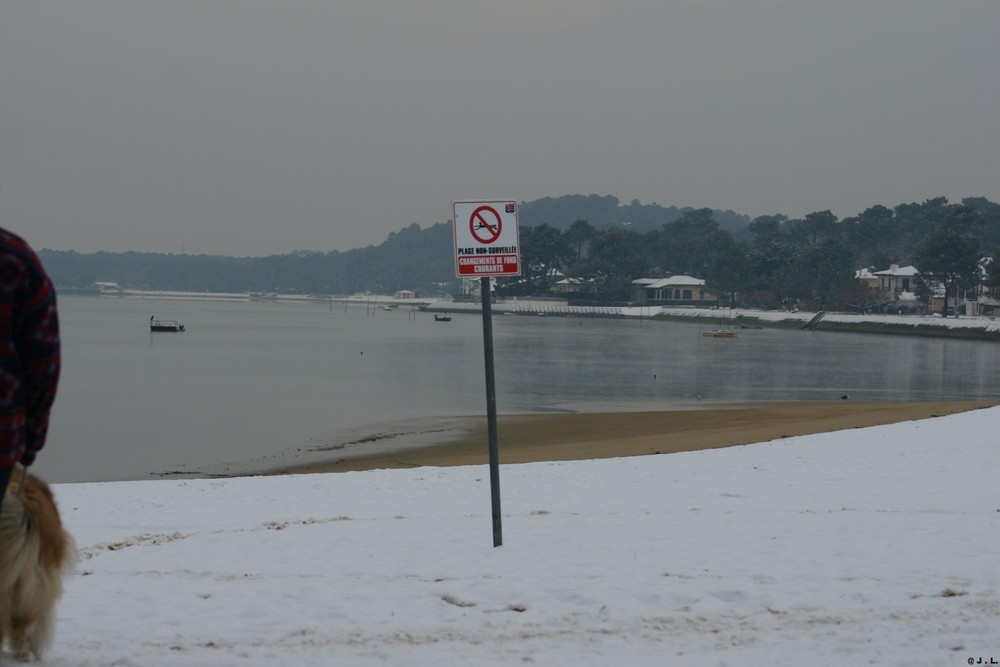 NEIGE SUR LE LAC D'HOSSEGOR. (40)....8 janvier 2009