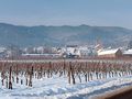 Neige sur les vignobles . de Christian Villain 