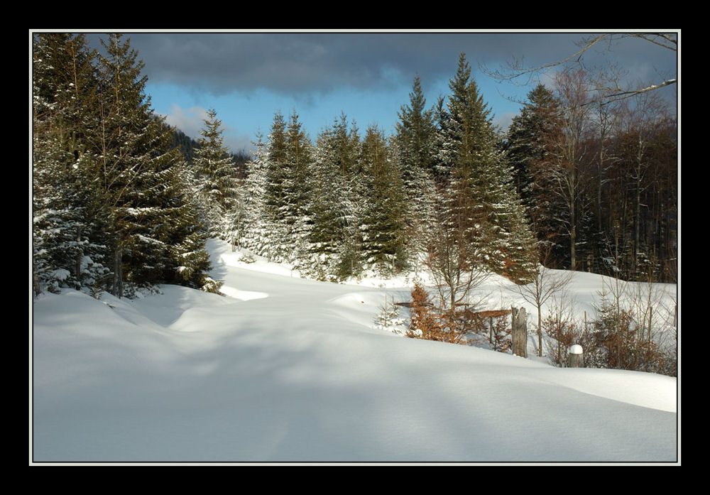 Neige vierge